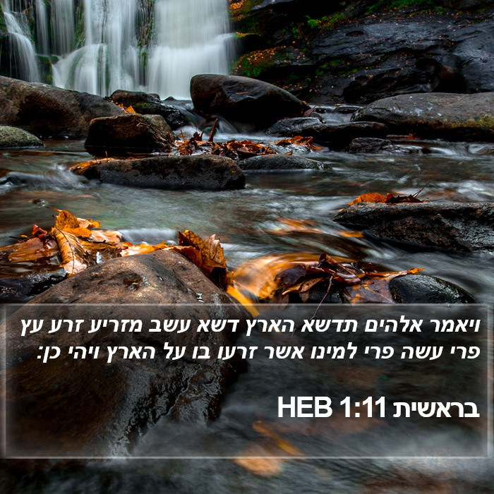 בראשית 1:11 HEB Bible Study