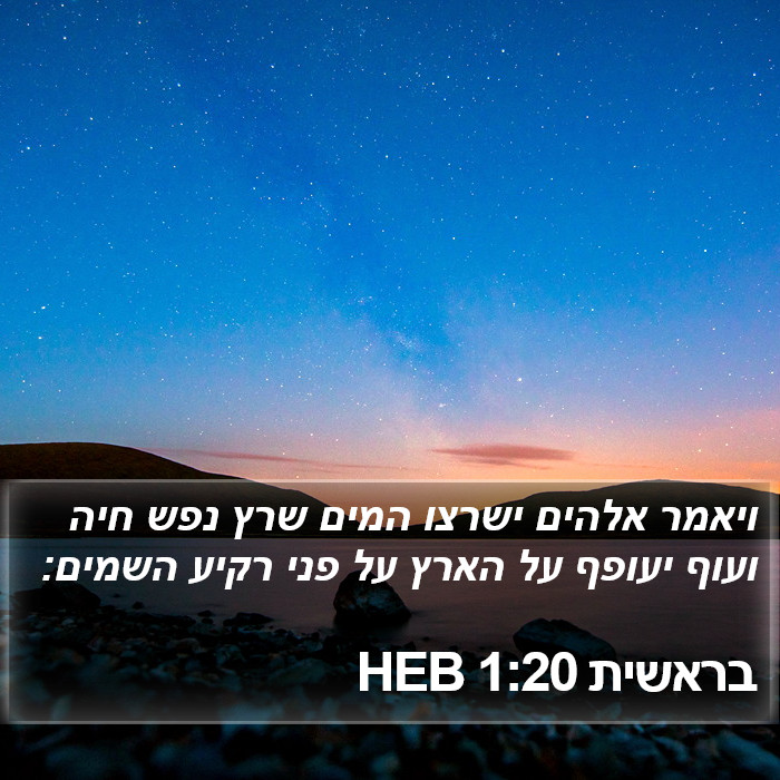 בראשית 1:20 HEB Bible Study