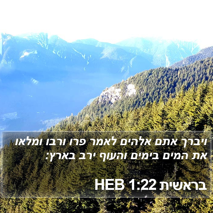 בראשית 1:22 HEB Bible Study