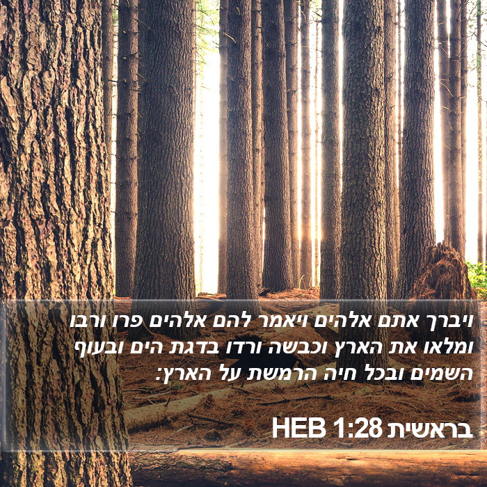 בראשית 1:28 HEB Bible Study