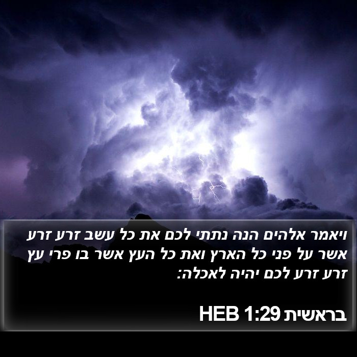 בראשית 1:29 HEB Bible Study