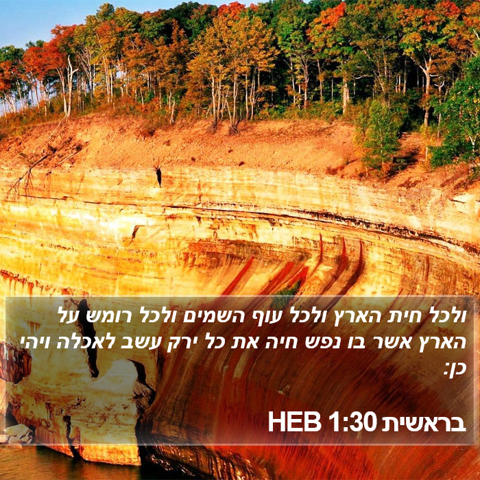 בראשית 1:30 HEB Bible Study