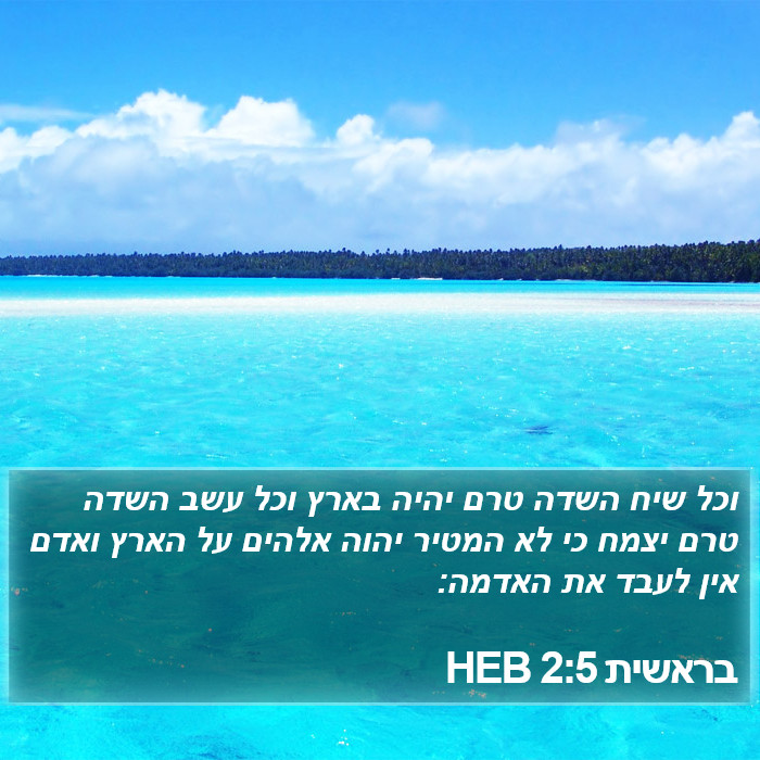 בראשית 2:5 HEB Bible Study