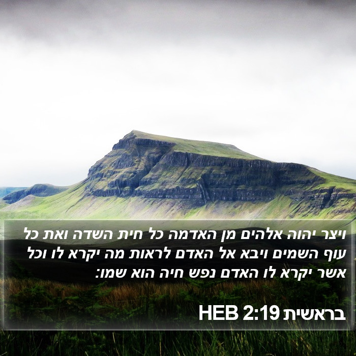 בראשית 2:19 HEB Bible Study