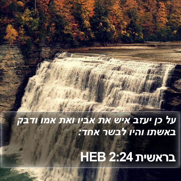 בראשית 2:24 HEB Bible Study