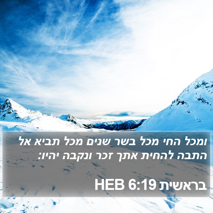 בראשית 6:19 HEB Bible Study