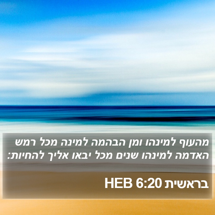 בראשית 6:20 HEB Bible Study