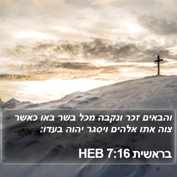 בראשית 7:16 HEB Bible Study