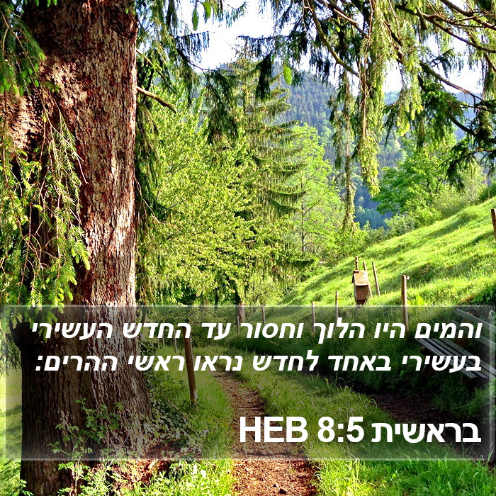 בראשית 8:5 HEB Bible Study