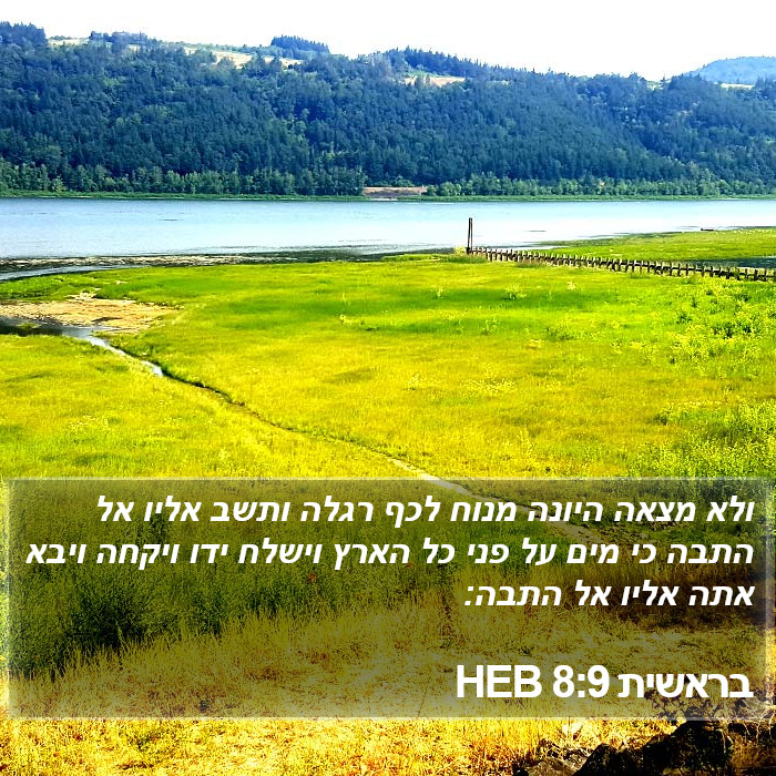 בראשית 8:9 HEB Bible Study