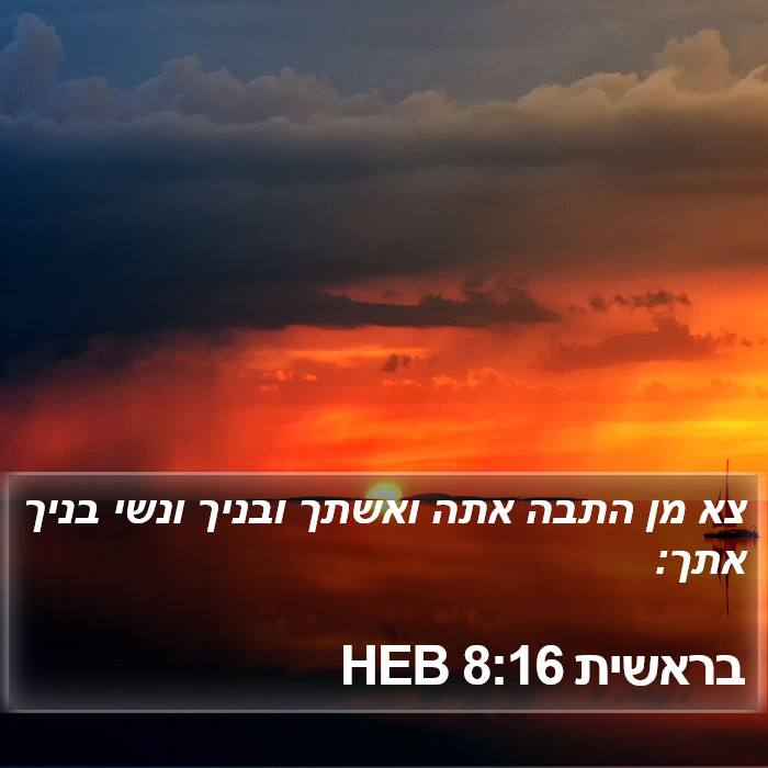 בראשית 8:16 HEB Bible Study