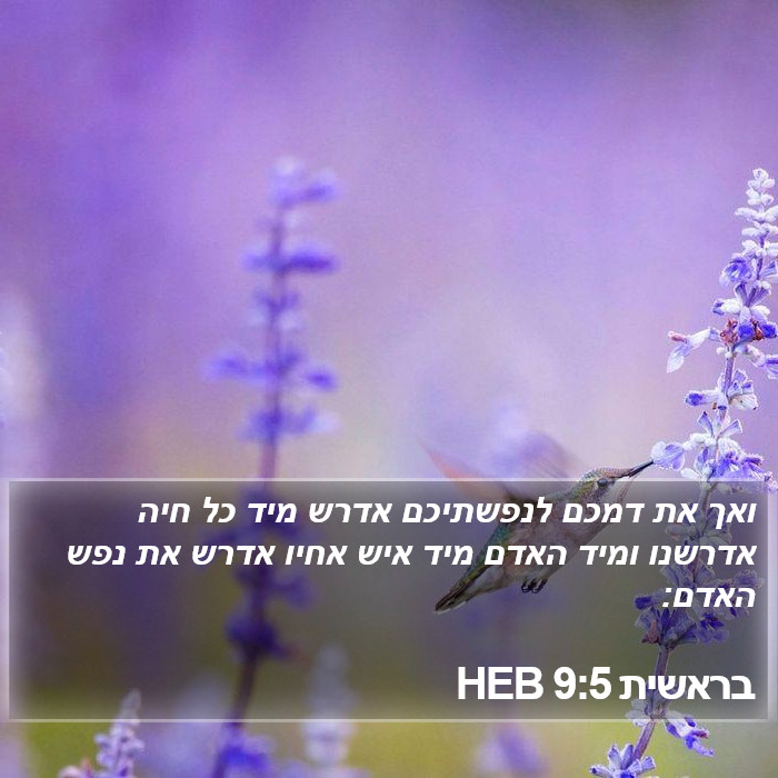 בראשית 9:5 HEB Bible Study