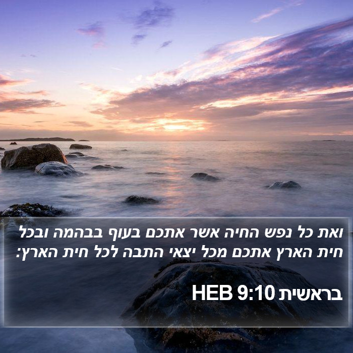 בראשית 9:10 HEB Bible Study