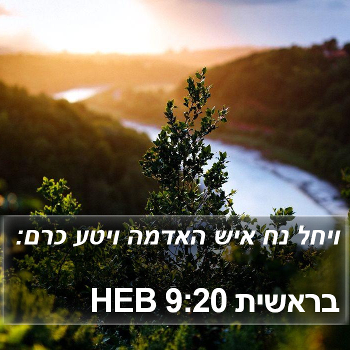 בראשית 9:20 HEB Bible Study