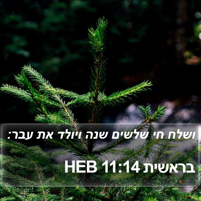 בראשית 11:14 HEB Bible Study