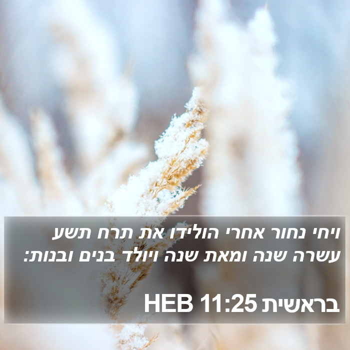 בראשית 11:25 HEB Bible Study