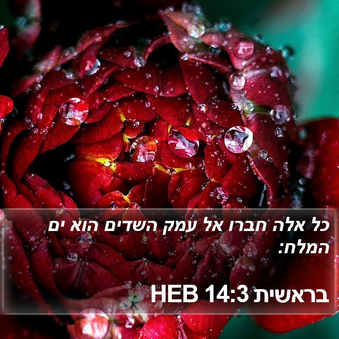 בראשית 14:3 HEB Bible Study