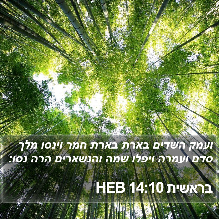 בראשית 14:10 HEB Bible Study