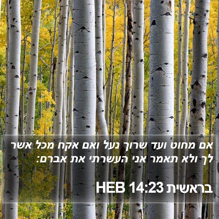 בראשית 14:23 HEB Bible Study