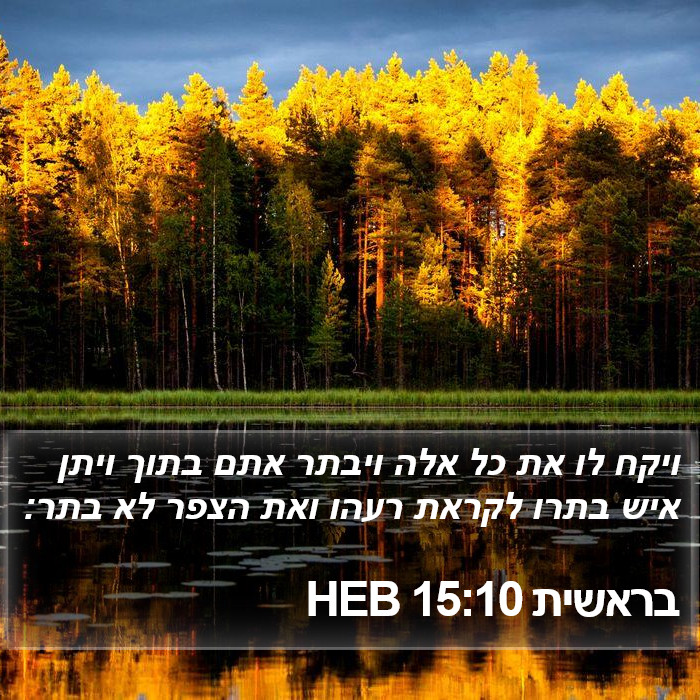 בראשית 15:10 HEB Bible Study