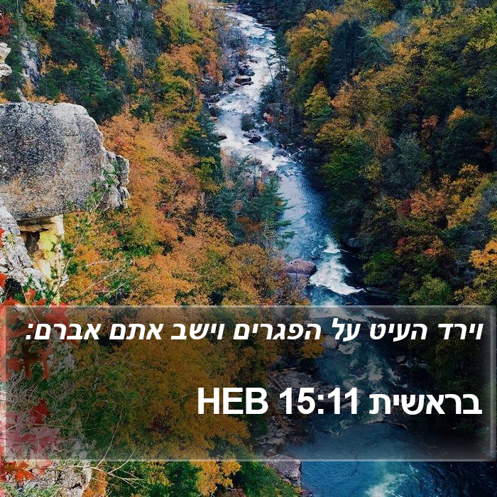 בראשית 15:11 HEB Bible Study