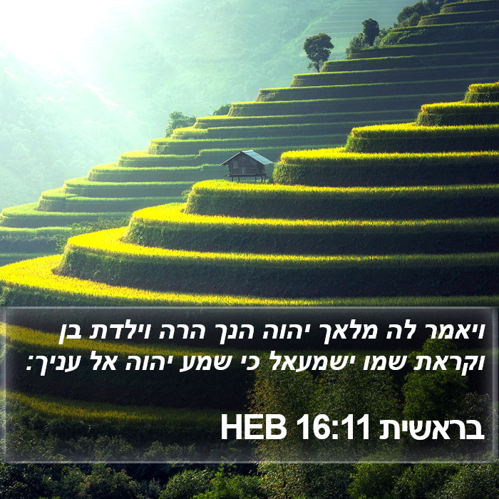 בראשית 16:11 HEB Bible Study