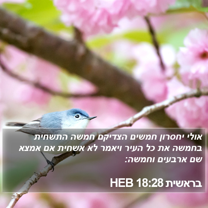 בראשית 18:28 HEB Bible Study