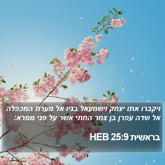 בראשית 25:9 HEB Bible Study