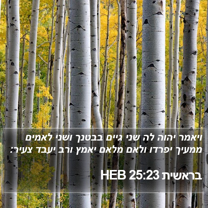 בראשית 25:23 HEB Bible Study