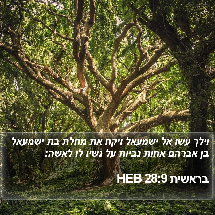 בראשית 28:9 HEB Bible Study