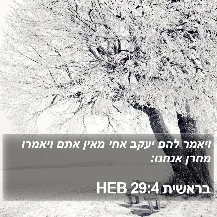 בראשית 29:4 HEB Bible Study