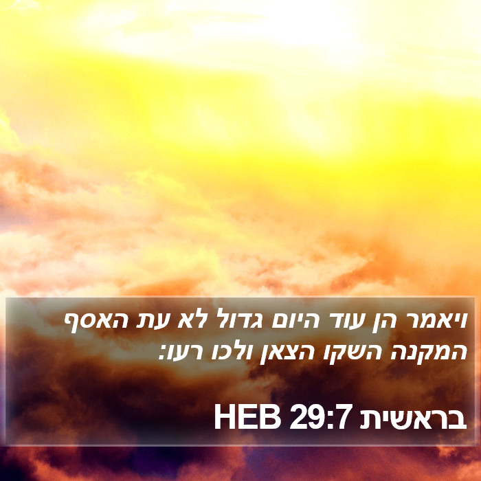 בראשית 29:7 HEB Bible Study