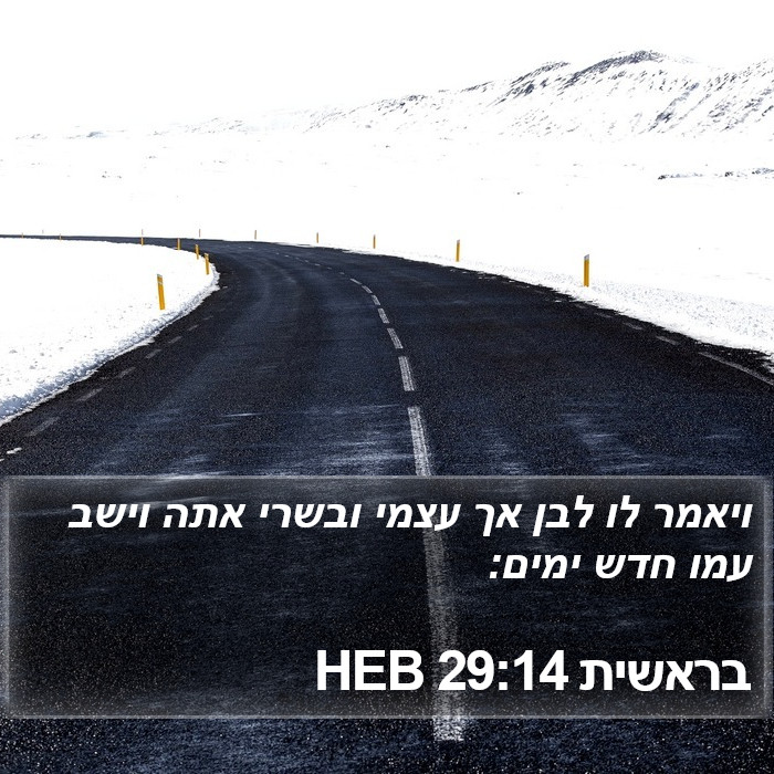 בראשית 29:14 HEB Bible Study