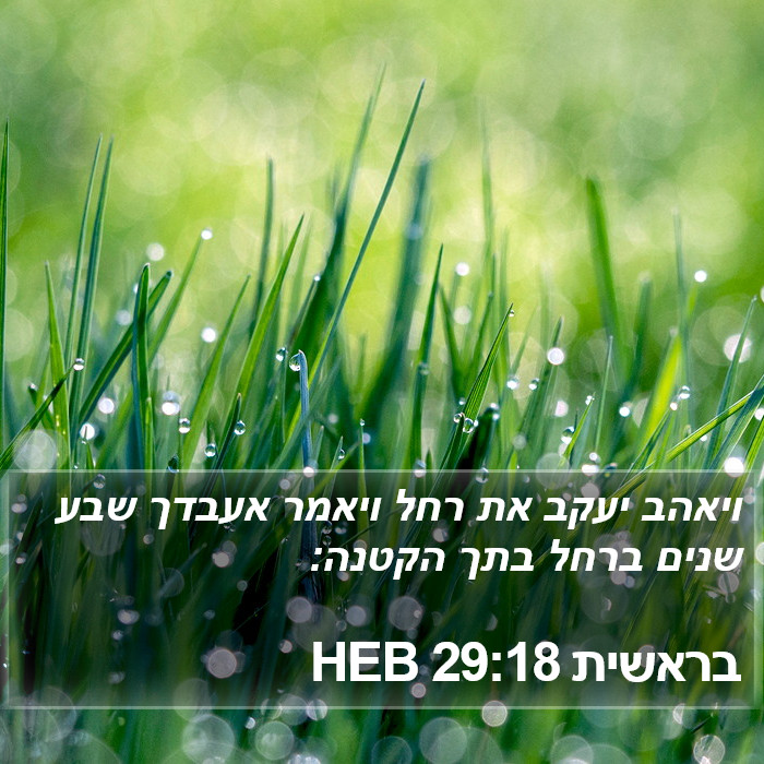 בראשית 29:18 HEB Bible Study