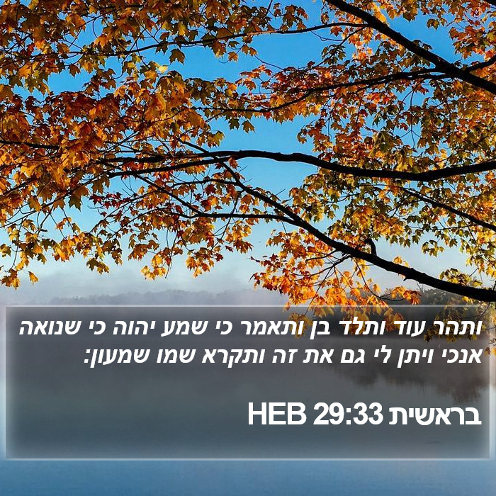 בראשית 29:33 HEB Bible Study