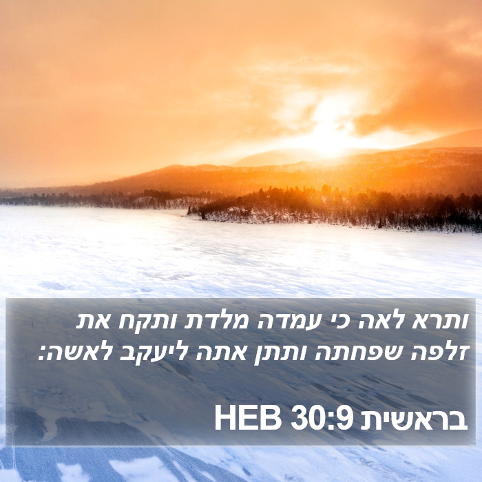 בראשית 30:9 HEB Bible Study