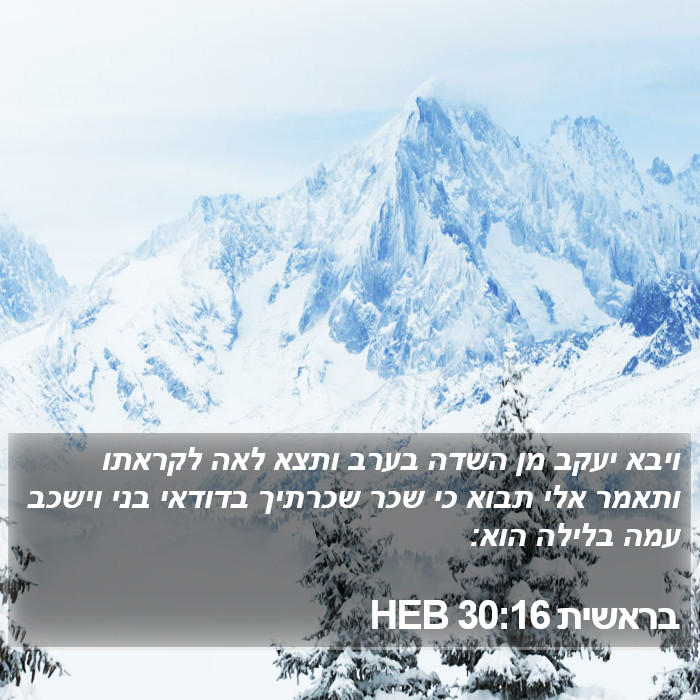 בראשית 30:16 HEB Bible Study