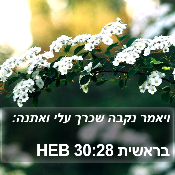 בראשית 30:28 HEB Bible Study