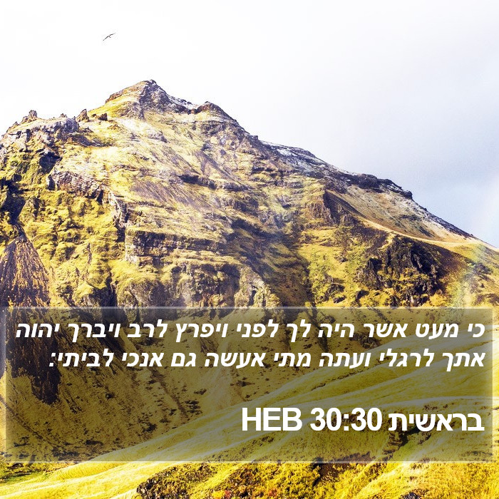 בראשית 30:30 HEB Bible Study