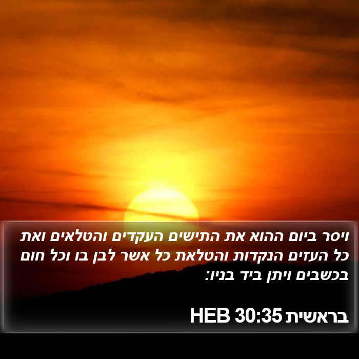 בראשית 30:35 HEB Bible Study