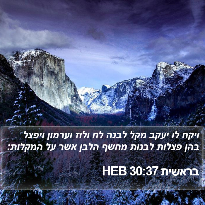 בראשית 30:37 HEB Bible Study