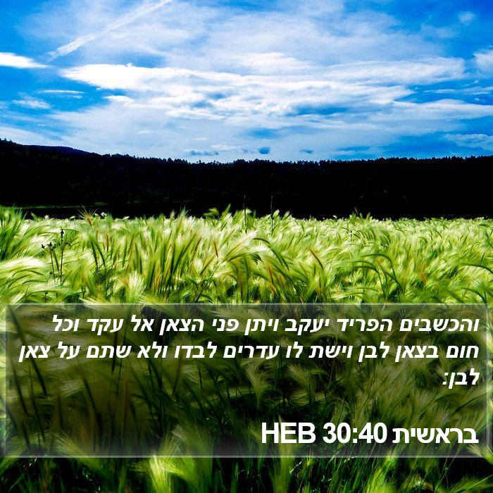 בראשית 30:40 HEB Bible Study