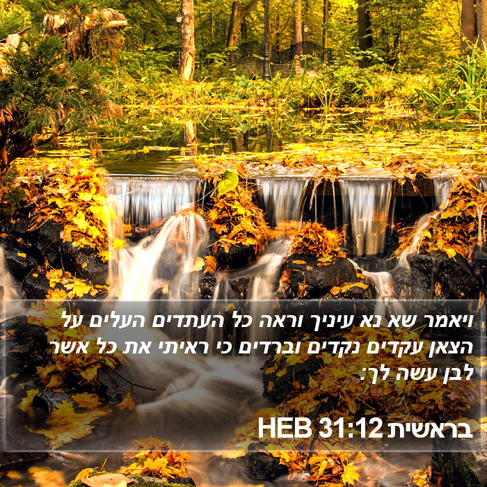 בראשית 31:12 HEB Bible Study