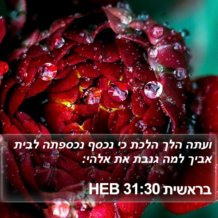 בראשית 31:30 HEB Bible Study