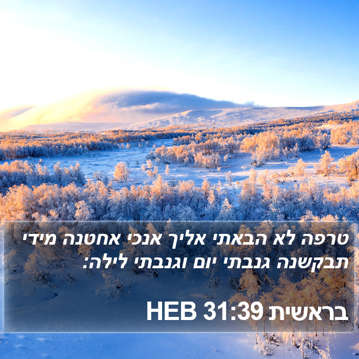 בראשית 31:39 HEB Bible Study