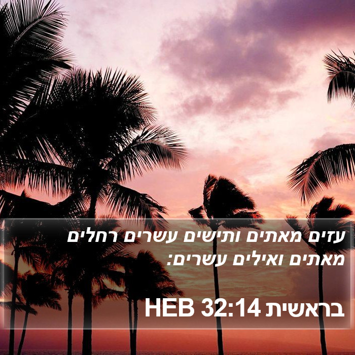 בראשית 32:14 HEB Bible Study