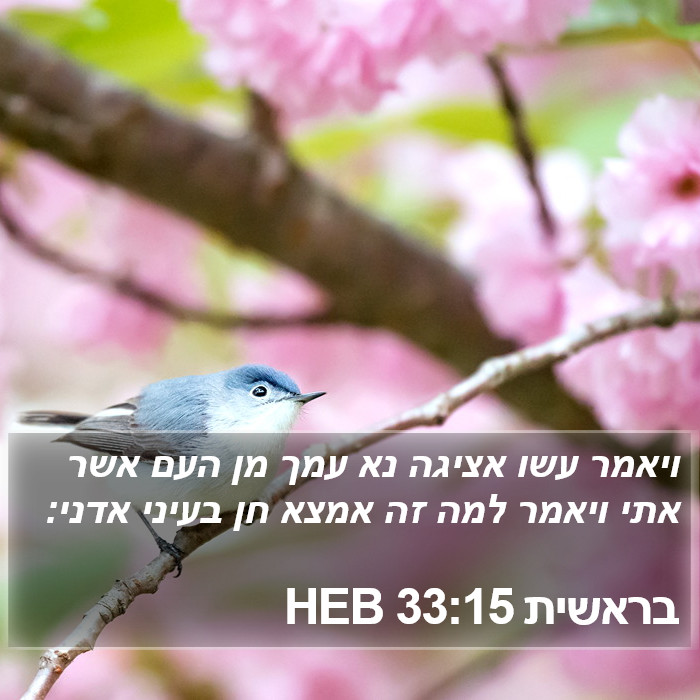 בראשית 33:15 HEB Bible Study