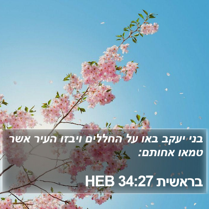 בראשית 34:27 HEB Bible Study