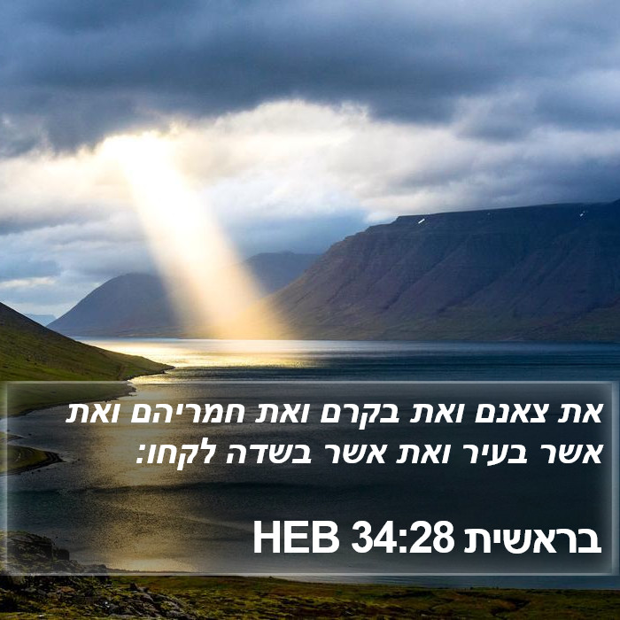 בראשית 34:28 HEB Bible Study