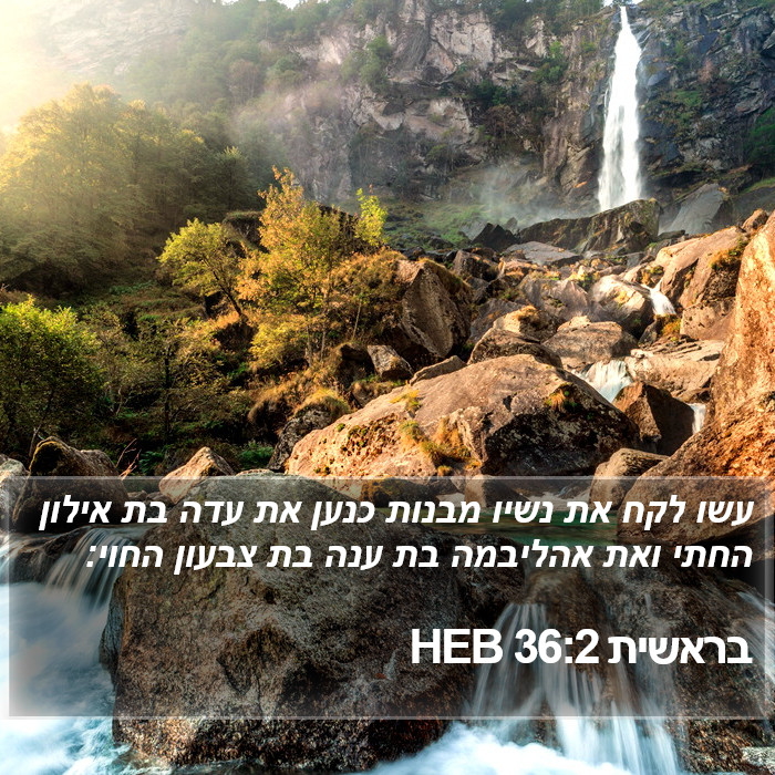 בראשית 36:2 HEB Bible Study